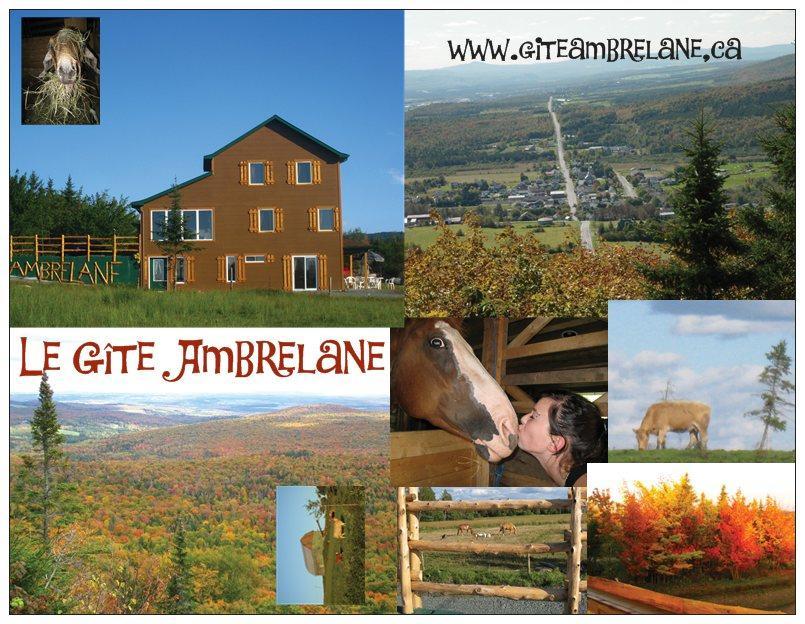 Le Gite Ambrelane 셋퍼드 마인스 외부 사진